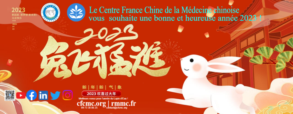 image-10-1024x400 Meilleurs vœux 2023